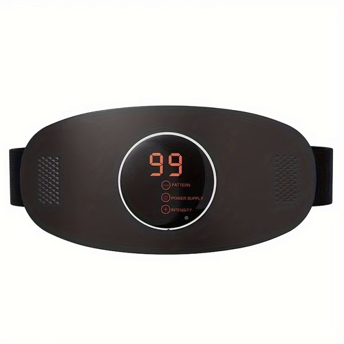 Wellsaac Electric Waist Massager